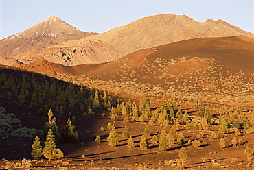 Mount Teide, Teide National Park, Tenerife, Canary Islands, Spain, Europe