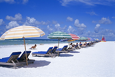 Beach, Longboat Key, Sarasota, Florida, United States of America (U.S.A.), North America