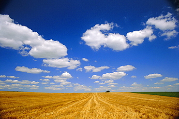 Landscape near Hondschoote, Flanders, Nord Pas de Calais France, Europe