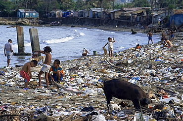 Children and pigs foraging on rubbish strewn beach, Dominican Republic, West Indies, Central America