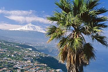 North coast and Mount Teide, Tenerife, Canary Islands, Spain, Atlantic, Europe