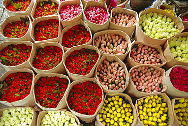 Flowers for sale, street market, Bangkok, Thailand