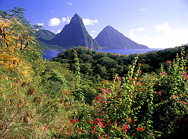 The Pitons, St. Lucia, West Indies, Caribbean, Central America