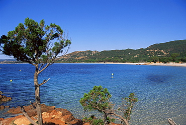 Palombaggia beach, Porto Vecchio, Corsica, France, Mediterranean, Europe