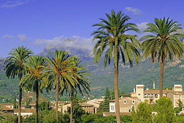 Soller, Majorca (Mallorca), Balearic Islands, Spain, Europe