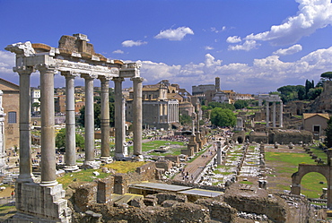 View across the Roman Forum, Rome, Lazio, Italy, Europe