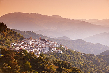 Algatocin, Ronda mountains, Andalucia, Spain, Europe