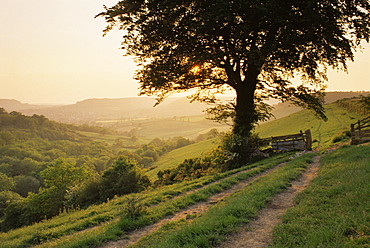 Countryside near Sidmouth, Devon, UK