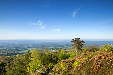 Leith Hill, highest point in south east England, view south towards The South Downs on a spring morning, Surrey Hills, Greensand Way, Surrey, England, United Kingdom, Europe