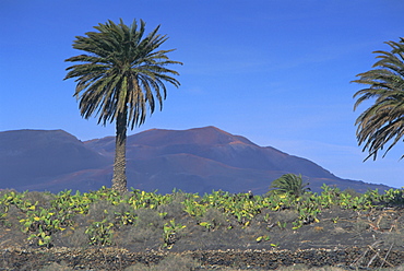 Fire Mountain, Lanzarote, Canary Islands, Atlantic, Spain, Europe