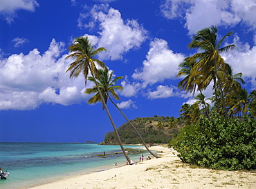 Darkwood Beach, Antigua, Leeward Islands, Caribbean, West Indies, Central America