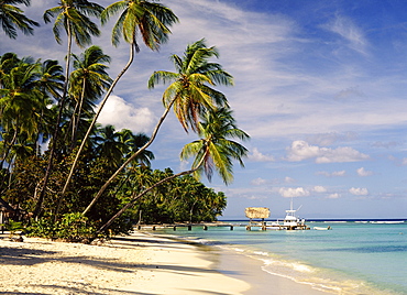 Jetty off Pigeon Point, Tobago, Caribbean 