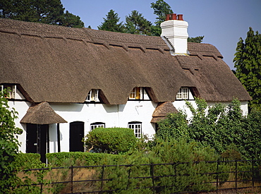 Thatched cottages at Lyndhurst in the New Forest, Hampshire, England, United Kingdom, Europe