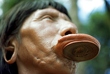 Suya with lip plate, Xingu, Brazil, South America