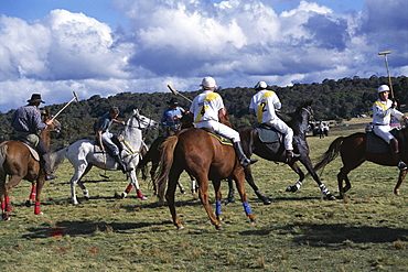 The Geeburg Polo Match, Bushmen versus Melbourne Polo Club, Australia, Pacific