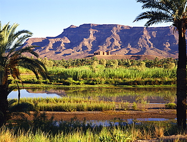 Jebel Sahro, Oued Draa (Draa Valle), Morocco, North Africa, Africa