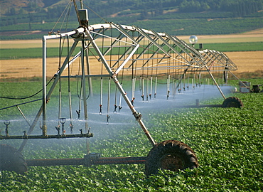 Automated irrigation system, Galilee, Israel, Middle East