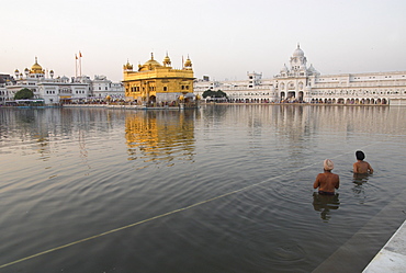 Two Sikh pilgrims bathing and praying in the early morning in holy pool, Golden Temple, Amritsar, Punjab state, India, Asia