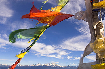 Prayer flags with snowy Kangchendzonga beyond in morning light, Singalila trek, Sandakphu, Darjeeling area, West Bengal state, Himalayas, India, Asia