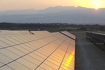 Solar panel field at sunrise in Kibbutz Ketura, Arava Valley, Israel, Middle East