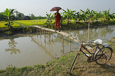 Monk with umbrella crossing a bamboo bridge, Myaungma, Irrawaddy Delta, Myanmar (Burma), Asia