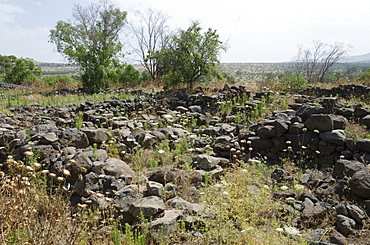 Archaeological site of the biblical city of Bethsaida, Sea of Galilee, Israel, Middle East