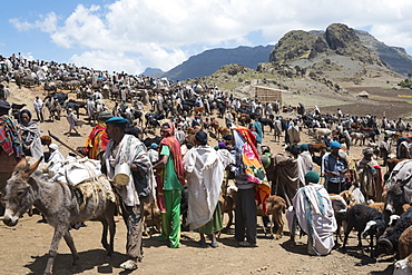 Open market on the treck to Abuna Yosef, Lalibela area, Northern Ethiopia, Africa