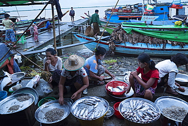 Women selling fish on a jetty, Labutta market, Irrawaddyi division, Myanmar (Burma), Asia