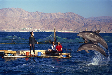 Woman blowing whistle to attract leaping dolphins for tourists to view at Dolphin Reef, Eilat, Israel, Middle East