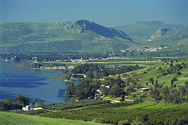 Tabgha, Sea of Galilee, Israel, Middle East