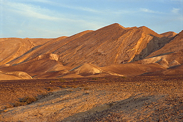 Rocky plain and hills in the background in the Negev Desert, Israel, Middle East