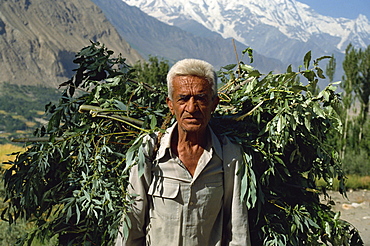 Farmer carrying heavy load, Hunza Valley, Pakistan, Asia