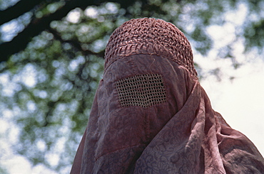 Portrait of a veiled Muslim woman in northern Pakistan, Asia