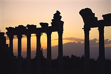 Columns in public building, probably the Court of Justice, Baalbek, UNESCO World Heritage Site, Lebanon, Middle East