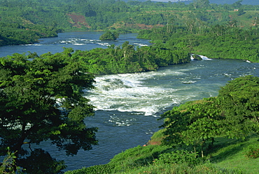 Victoria Nile River through rainforest, Jinja Falls, near Kampala, Uganda, East Africa, Africa