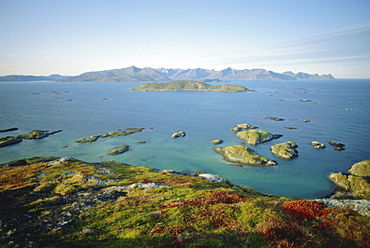 Autumnal bloom, Senja vewied from Sommeroy (Summer Isle), near Tromso, Arctic Norway, Norway, Scandinavia, Europe