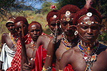 Line of Samburu Moran (warriors), Loodua, Kenya, East Africa, Africa