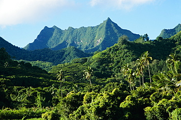 Dense forests and mountain ppeaks, Rarotonga, Cook Islands, Polynesia, South Pacific islands, Pacific