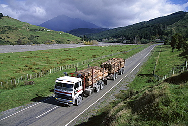 Logging trucks on the road near Gisborne, East Coast, North Island, New Zealand, Pacific