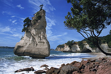 Te Horo rock, Cathedral Cove, Coromandel Peninsula, North Island, New Zealand, Pacific