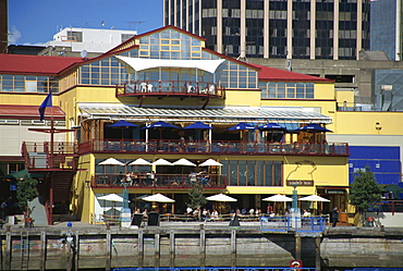 Loaded Hog Cafe, a restaurant on quayside, Auckland, North Island, New Zealand, Pacific