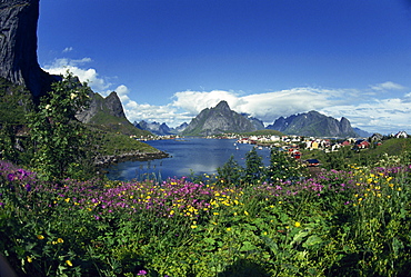 Reine Lofoten in summer, nominated Norway's most beautiful village, Lofoten Islands, Norway, Scandinavia, Europe