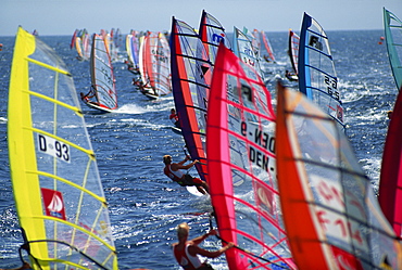 Startline at the World Championships, Red Sea, Egypt, North Africa, Africa