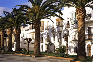 Spanish architecture and palm trees, Tarifa, Andalucia, Spain, Europe