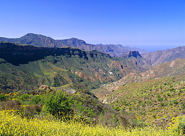 Barranco del Chorillo, Toque Bentaiga, Tejeda, Gran Canaria, Canary Islands, SpainALPHA