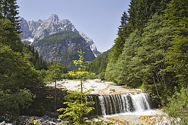 Waterfall over weir on River Velika Pisnca with crystal clear water, Prisank mountain, Triglav National Park, Julian Alps, Kranjska Gora, Dolina, Slovenia, Europe