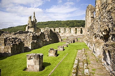 Ruins of the 12th century Cistercian Byland Abbey, destroyed by Scottish army in Battle of Byland 1322, when Edward ll was defeated, Coxwold, North York Moors National Park, Yorkshire, England, United Kingdom, Europe