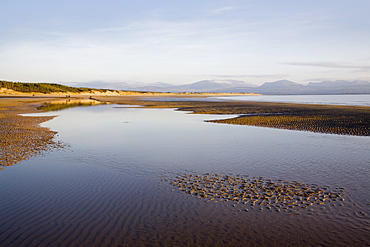 Pool on sandy Llanddwyn conservation beach at low tide with sand dunes of Newborough Warren nature reserve and view of mountains in Snowdonia in winter, Newborough, Anglesey, North Wales, United Kingdom, Europe