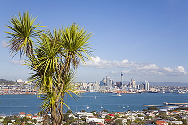 View to eastern city skyline from Mount Victoria, Devonport across Waitemata Harbour, Auckland, North Island, New Zealand, Pacific