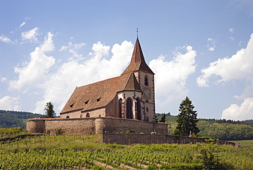 The 15th century fortified church of St. Jacques and Grand Cru vineyards on the Alsation wine route, Hunawihr, Alsace, Haut-Rhin, France, Europe